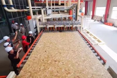 單縣:國際領先!世界上最全面板材種類,打造全球第一薄