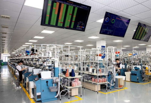 襪業(yè)之都的數(shù)字轉(zhuǎn)身 浙江諸暨大唐鎮(zhèn)的機械與材料轉(zhuǎn)型密碼